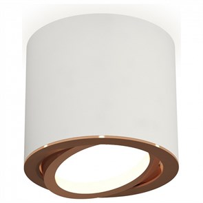 {{productViewItem.photos[photoViewList.activeNavIndex].Alt || productViewItem.photos[photoViewList.activeNavIndex].Description || 'Накладной светильник Ambrella Light XS XS7401005'}}