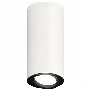 {{productViewItem.photos[photoViewList.activeNavIndex].Alt || productViewItem.photos[photoViewList.activeNavIndex].Description || 'Накладной светильник Ambrella Light XS XS7442002'}}