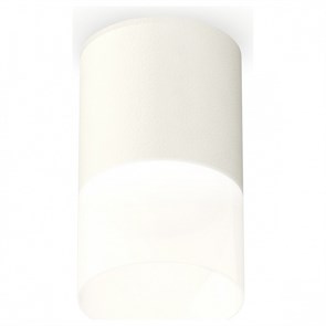 {{productViewItem.photos[photoViewList.activeNavIndex].Alt || productViewItem.photos[photoViewList.activeNavIndex].Description || 'Накладной светильник Ambrella Light XS XS6301065'}}