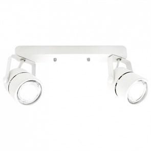 {{productViewItem.photos[photoViewList.activeNavIndex].Alt || productViewItem.photos[photoViewList.activeNavIndex].Description || 'Спот Ambrella Light TA TA104'}}