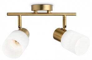 {{productViewItem.photos[photoViewList.activeNavIndex].Alt || productViewItem.photos[photoViewList.activeNavIndex].Description || 'Спот Ambrella Light TR TR3969'}}