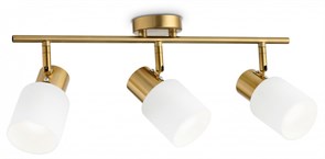 {{productViewItem.photos[photoViewList.activeNavIndex].Alt || productViewItem.photos[photoViewList.activeNavIndex].Description || 'Спот Ambrella Light TR TR3972'}}