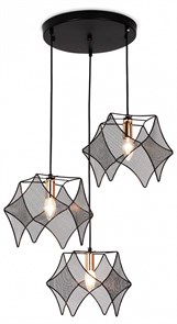 {{productViewItem.photos[photoViewList.activeNavIndex].Alt || productViewItem.photos[photoViewList.activeNavIndex].Description || 'Подвесной светильник Ambrella Light TR TR8427'}}