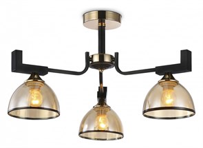 {{productViewItem.photos[photoViewList.activeNavIndex].Alt || productViewItem.photos[photoViewList.activeNavIndex].Description || 'Люстра на штанге Ambrella Light TR TR9098'}}