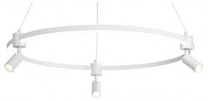 {{productViewItem.photos[photoViewList.activeNavIndex].Alt || productViewItem.photos[photoViewList.activeNavIndex].Description || 'Подвесная люстра Ambrella Light FL FL5292'}}