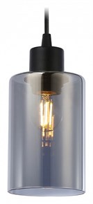 {{productViewItem.photos[photoViewList.activeNavIndex].Alt || productViewItem.photos[photoViewList.activeNavIndex].Description || 'Подвесной светильник Ambrella Light TR TR3695'}}