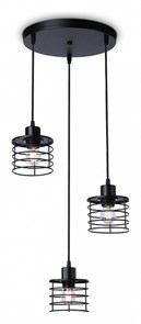{{productViewItem.photos[photoViewList.activeNavIndex].Alt || productViewItem.photos[photoViewList.activeNavIndex].Description || 'Подвесной светильник Ambrella Light TR TR8081'}}