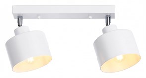 {{productViewItem.photos[photoViewList.activeNavIndex].Alt || productViewItem.photos[photoViewList.activeNavIndex].Description || 'Спот Ambrella Light TR TR8141'}}