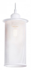{{productViewItem.photos[photoViewList.activeNavIndex].Alt || productViewItem.photos[photoViewList.activeNavIndex].Description || 'Подвесной светильник Ambrella Light TR TR8161'}}