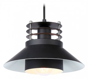 {{productViewItem.photos[photoViewList.activeNavIndex].Alt || productViewItem.photos[photoViewList.activeNavIndex].Description || 'Подвесной светильник Ambrella Light TR TR8172'}}