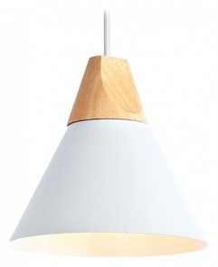{{productViewItem.photos[photoViewList.activeNavIndex].Alt || productViewItem.photos[photoViewList.activeNavIndex].Description || 'Подвесной светильник Ambrella Light TR TR8195'}}