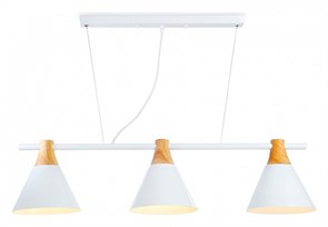{{productViewItem.photos[photoViewList.activeNavIndex].Alt || productViewItem.photos[photoViewList.activeNavIndex].Description || 'Подвесной светильник Ambrella Light TR TR8196'}}