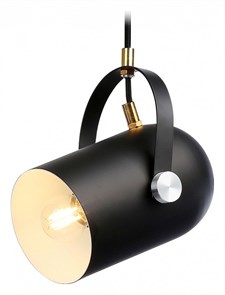 {{productViewItem.photos[photoViewList.activeNavIndex].Alt || productViewItem.photos[photoViewList.activeNavIndex].Description || 'Подвесной светильник Ambrella Light TR TR8206'}}