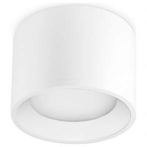 {{productViewItem.photos[photoViewList.activeNavIndex].Alt || productViewItem.photos[photoViewList.activeNavIndex].Description || 'Накладной светильник Ambrella Light TN TN5321'}}