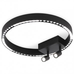 {{productViewItem.photos[photoViewList.activeNavIndex].Alt || productViewItem.photos[photoViewList.activeNavIndex].Description || 'Накладной светильник Ambrella Light FL FL5806'}}