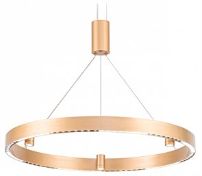 {{productViewItem.photos[photoViewList.activeNavIndex].Alt || productViewItem.photos[photoViewList.activeNavIndex].Description || 'Подвесной светильник Ambrella Light FL FL5846'}}