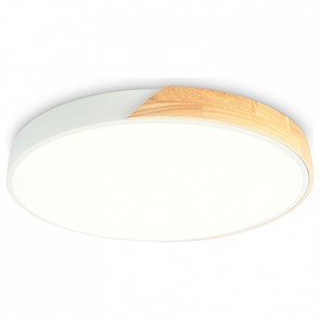 {{productViewItem.photos[photoViewList.activeNavIndex].Alt || productViewItem.photos[photoViewList.activeNavIndex].Description || 'Накладной светильник Ambrella Light FZ FZ1300'}}
