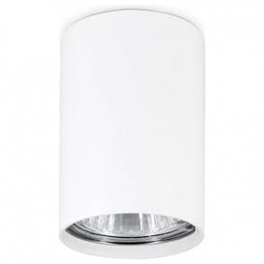 {{productViewItem.photos[photoViewList.activeNavIndex].Alt || productViewItem.photos[photoViewList.activeNavIndex].Description || 'Накладной светильник Ambrella Light TN TN213101'}}