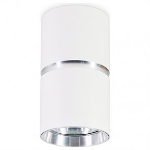 {{productViewItem.photos[photoViewList.activeNavIndex].Alt || productViewItem.photos[photoViewList.activeNavIndex].Description || 'Накладной светильник Ambrella Light TN TN213115'}}