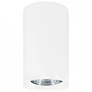 {{productViewItem.photos[photoViewList.activeNavIndex].Alt || productViewItem.photos[photoViewList.activeNavIndex].Description || 'Накладной светильник Ambrella Light TN TN213133'}}