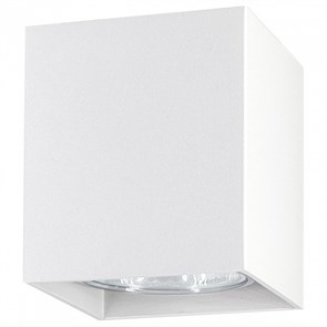 {{productViewItem.photos[photoViewList.activeNavIndex].Alt || productViewItem.photos[photoViewList.activeNavIndex].Description || 'Накладной светильник Ambrella Light TN TN213139'}}