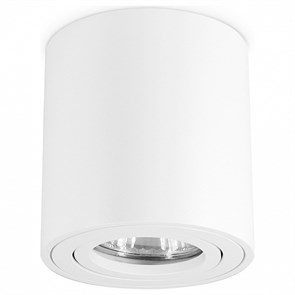 {{productViewItem.photos[photoViewList.activeNavIndex].Alt || productViewItem.photos[photoViewList.activeNavIndex].Description || 'Накладной светильник Ambrella Light TN TN22701'}}