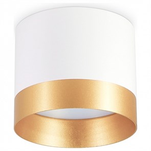{{productViewItem.photos[photoViewList.activeNavIndex].Alt || productViewItem.photos[photoViewList.activeNavIndex].Description || 'Накладной светильник Ambrella Light TN TN5315'}}