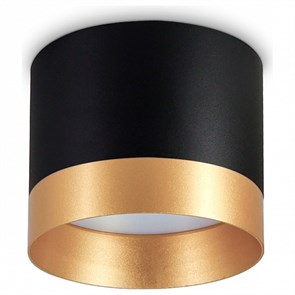 {{productViewItem.photos[photoViewList.activeNavIndex].Alt || productViewItem.photos[photoViewList.activeNavIndex].Description || 'Накладной светильник Ambrella Light TN TN5317'}}