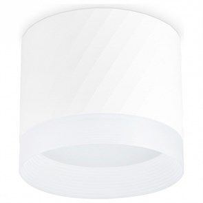 {{productViewItem.photos[photoViewList.activeNavIndex].Alt || productViewItem.photos[photoViewList.activeNavIndex].Description || 'Накладной светильник Ambrella Light TN TN5353'}}