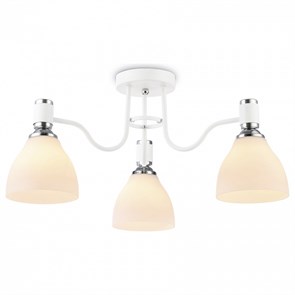 {{productViewItem.photos[photoViewList.activeNavIndex].Alt || productViewItem.photos[photoViewList.activeNavIndex].Description || 'Потолочная люстра Ambrella Light TR TR303302'}}