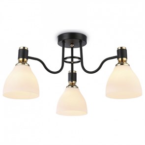 {{productViewItem.photos[photoViewList.activeNavIndex].Alt || productViewItem.photos[photoViewList.activeNavIndex].Description || 'Потолочная люстра Ambrella Light TR TR303303'}}