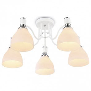 {{productViewItem.photos[photoViewList.activeNavIndex].Alt || productViewItem.photos[photoViewList.activeNavIndex].Description || 'Потолочная люстра Ambrella Light TR TR303305'}}