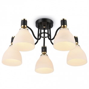 {{productViewItem.photos[photoViewList.activeNavIndex].Alt || productViewItem.photos[photoViewList.activeNavIndex].Description || 'Потолочная люстра Ambrella Light TR TR303307'}}