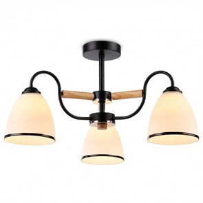 {{productViewItem.photos[photoViewList.activeNavIndex].Alt || productViewItem.photos[photoViewList.activeNavIndex].Description || 'Люстра на штанге Ambrella Light TR TR3033241'}}