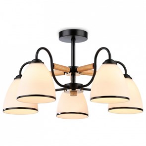 {{productViewItem.photos[photoViewList.activeNavIndex].Alt || productViewItem.photos[photoViewList.activeNavIndex].Description || 'Люстра на штанге Ambrella Light TR TR3033245'}}