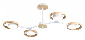 {{productViewItem.photos[photoViewList.activeNavIndex].Alt || productViewItem.photos[photoViewList.activeNavIndex].Description || 'Люстра на штанге Ambrella Light FL FL51609'}}