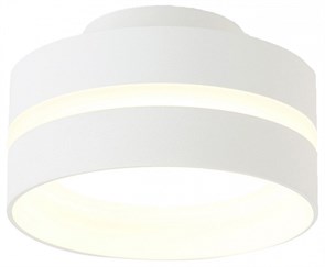 {{productViewItem.photos[photoViewList.activeNavIndex].Alt || productViewItem.photos[photoViewList.activeNavIndex].Description || 'Накладной светильник Ambrella Light TN TN5419'}}