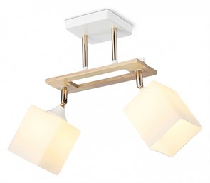 {{productViewItem.photos[photoViewList.activeNavIndex].Alt || productViewItem.photos[photoViewList.activeNavIndex].Description || 'Светильник на штанге Ambrella Light TR TR9501'}}