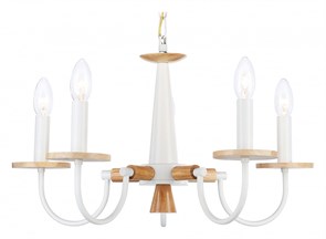 {{productViewItem.photos[photoViewList.activeNavIndex].Alt || productViewItem.photos[photoViewList.activeNavIndex].Description || 'Подвесная люстра Ambrella Light TR TR9592'}}