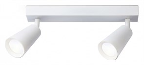 {{productViewItem.photos[photoViewList.activeNavIndex].Alt || productViewItem.photos[photoViewList.activeNavIndex].Description || 'Спот Ambrella Light TA TA13145'}}
