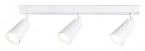 {{productViewItem.photos[photoViewList.activeNavIndex].Alt || productViewItem.photos[photoViewList.activeNavIndex].Description || 'Спот Ambrella Light TA TA13148'}}