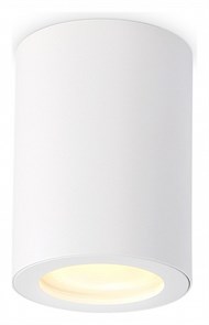 {{productViewItem.photos[photoViewList.activeNavIndex].Alt || productViewItem.photos[photoViewList.activeNavIndex].Description || 'Накладной светильник Ambrella Light TN TN22797'}}