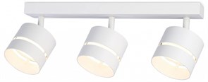 {{productViewItem.photos[photoViewList.activeNavIndex].Alt || productViewItem.photos[photoViewList.activeNavIndex].Description || 'Спот Ambrella Light TN TN71062'}}