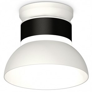 {{productViewItem.photos[photoViewList.activeNavIndex].Alt || productViewItem.photos[photoViewList.activeNavIndex].Description || 'Накладной светильник Ambrella Light XS XS8102046'}}