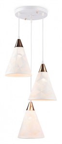 {{productViewItem.photos[photoViewList.activeNavIndex].Alt || productViewItem.photos[photoViewList.activeNavIndex].Description || 'Подвесной светильник Ambrella Light TR TR8433'}}
