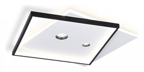 {{productViewItem.photos[photoViewList.activeNavIndex].Alt || productViewItem.photos[photoViewList.activeNavIndex].Description || 'Накладной светильник Ambrella Light FL FL5065'}}
