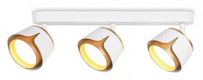 {{productViewItem.photos[photoViewList.activeNavIndex].Alt || productViewItem.photos[photoViewList.activeNavIndex].Description || 'Спот Ambrella Light TN TN71235'}}