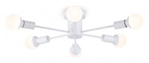 {{productViewItem.photos[photoViewList.activeNavIndex].Alt || productViewItem.photos[photoViewList.activeNavIndex].Description || 'Потолочная люстра Ambrella Light TR TR80401'}}