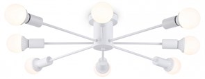 {{productViewItem.photos[photoViewList.activeNavIndex].Alt || productViewItem.photos[photoViewList.activeNavIndex].Description || 'Потолочная люстра Ambrella Light TR TR80408'}}