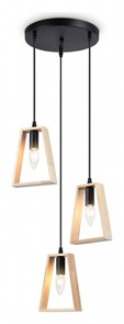 {{productViewItem.photos[photoViewList.activeNavIndex].Alt || productViewItem.photos[photoViewList.activeNavIndex].Description || 'Подвесной светильник Ambrella Light TR TR80499'}}